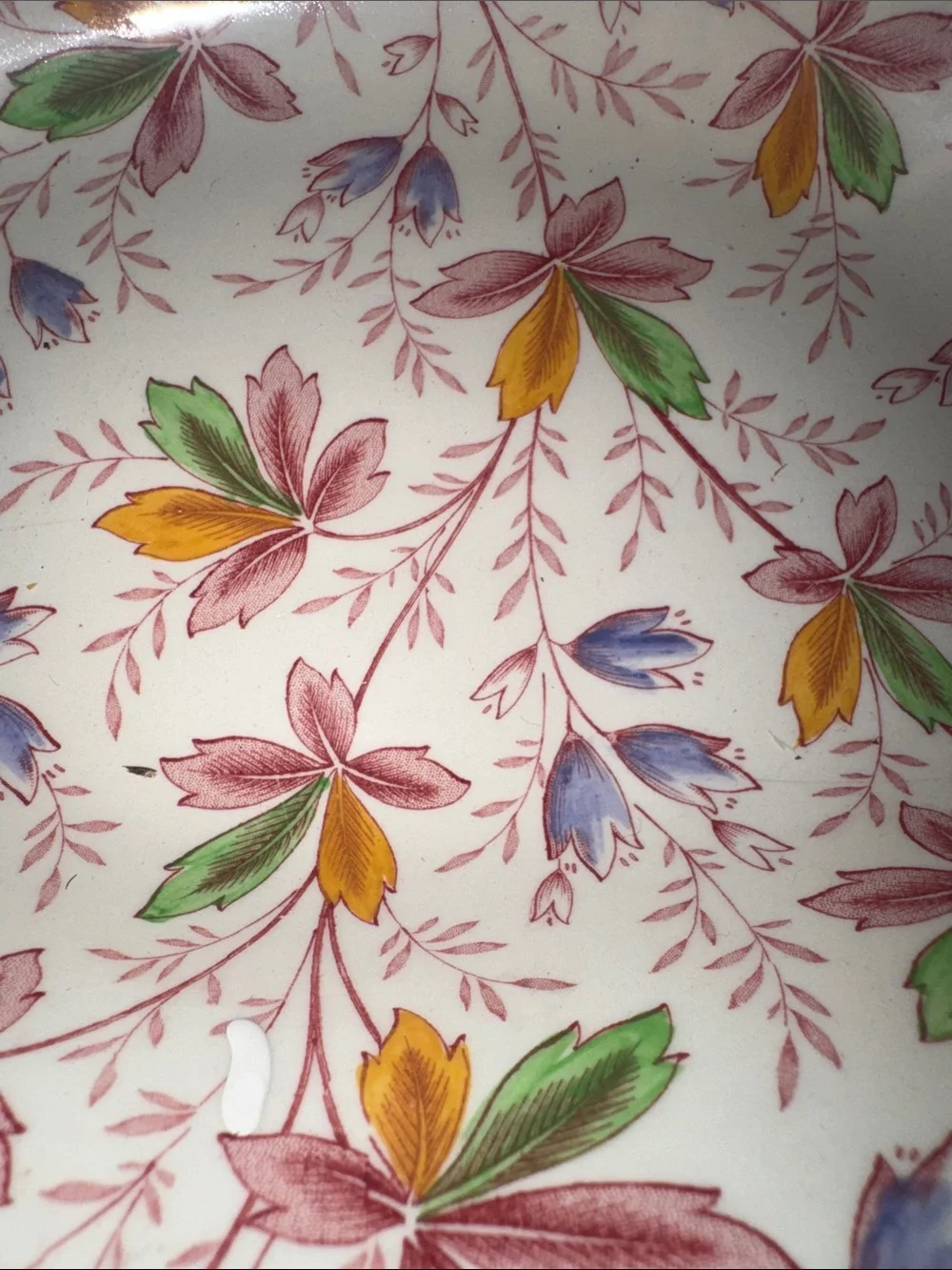 Royal Doulton elevate your